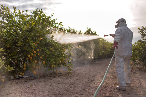 Best Insect Control  in Monongahela, PA