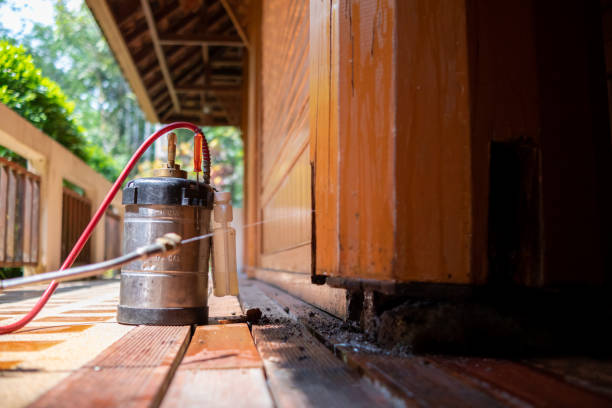 Best Ant Control Services  in Monongahela, PA