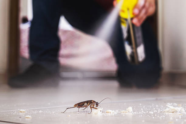 Insect Control in Monongahela, PA