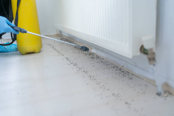 Best Exterminator Services  in Monongahela, PA