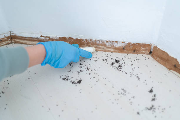 Best Commercial Pest Control Services  in Monongahela, PA