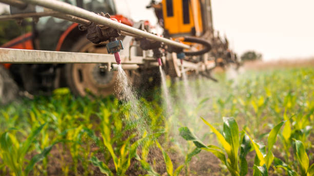 Best Mosquito Control Services  in Monongahela, PA